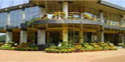 Institute
