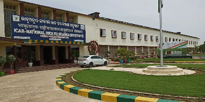 Institute