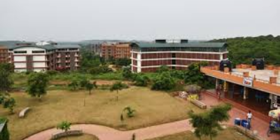 Institute
