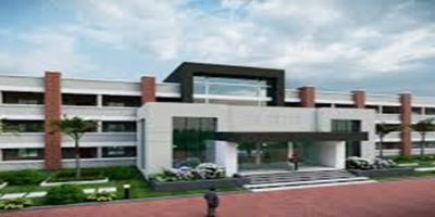 Institute